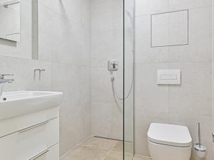 Pronájem bytu 1+kk, Brno - Černovice, Mírová, 33 m2