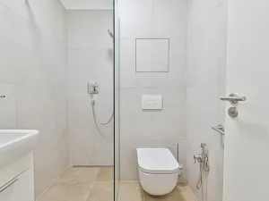 Pronájem bytu 1+kk, Brno - Černovice, Mírová, 33 m2
