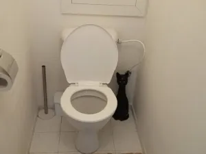 Pronájem bytu 1+1, Praha - Libuš, Na domovině, 39 m2