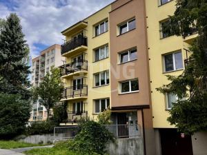 Pronájem bytu 1+1, Ostrava, Proskovická, 39 m2