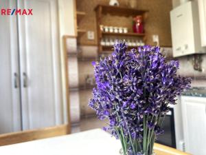 Prodej bytu 3+1, Semily, Luční, 65 m2