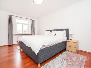 Pronájem bytu 5+kk, Praha - Nové Město, Dřevná, 250 m2