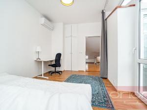 Pronájem bytu 5+kk, Praha - Nové Město, Dřevná, 250 m2