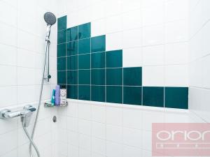 Pronájem bytu 5+kk, Praha - Nové Město, Dřevná, 250 m2