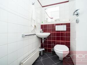 Pronájem bytu 5+kk, Praha - Nové Město, Dřevná, 250 m2