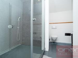 Pronájem bytu 5+kk, Praha - Nové Město, Dřevná, 250 m2