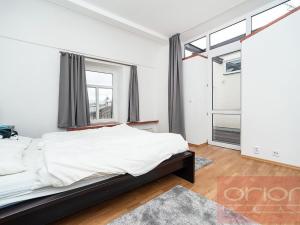 Pronájem bytu 5+kk, Praha - Nové Město, Dřevná, 250 m2