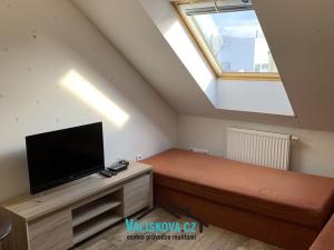 Pronájem bytu 1+kk, Kroměříž, Moravcova, 30 m2