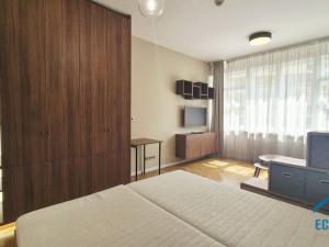 Pronájem bytu 1+kk, Praha - Nové Město, Opatovická, 32 m2