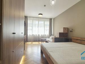 Pronájem bytu 1+kk, Praha - Nové Město, Opatovická, 32 m2