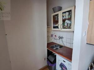 Pronájem bytu 1+kk, Ostrava, Sokolovská, 22 m2
