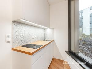 Pronájem bytu 1+kk, Praha, Na Větrníku, 33 m2
