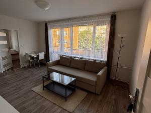 Pronájem bytu 2+kk, Praha - Žižkov, Luční, 45 m2