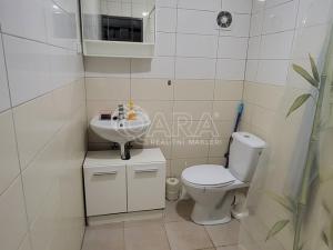 Pronájem bytu 1+kk, Čelákovice, Dobrovského, 17 m2