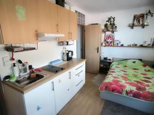 Pronájem bytu 1+kk, Praha - Veleslavín, Evropská, 35 m2