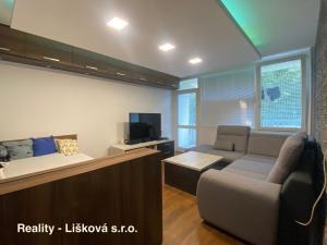Pronájem bytu 2+1, Ústí nad Labem - Severní Terasa, Ladova, 67 m2