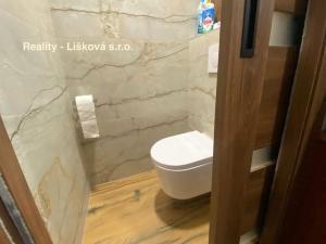Pronájem bytu 2+1, Ústí nad Labem - Severní Terasa, Ladova, 67 m2