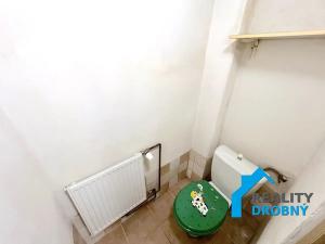 Pronájem bytu 1+1, Chabařovice, 52 m2