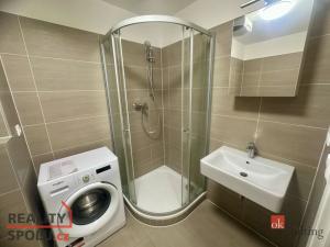 Pronájem bytu 1+kk, Brno - Trnitá, Rumiště, 41 m2