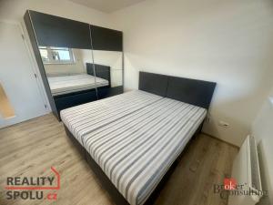 Pronájem bytu 1+kk, Brno - Trnitá, Rumiště, 41 m2