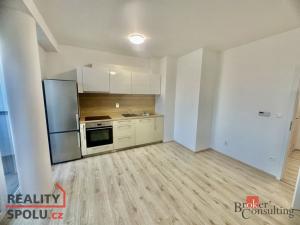 Pronájem bytu 1+kk, Brno - Trnitá, Rumiště, 41 m2