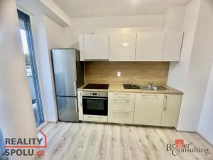 Pronájem bytu 1+kk, Brno - Trnitá, Rumiště, 41 m2
