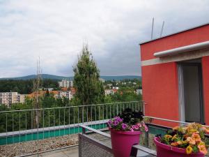Pronájem bytu 3+kk, Liberec - Liberec VI-Rochlice, Hedvábná, 133 m2