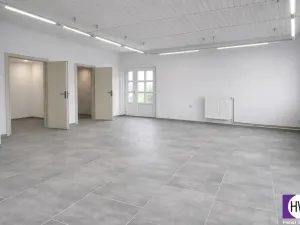 Prodej obchodního prostoru, Jílové u Prahy - Radlík, 159 m2