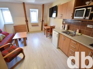 Pronájem bytu 1+kk, Karlovy Vary, Vítězná, 32 m2