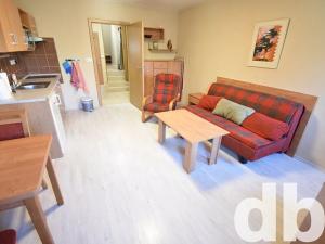 Pronájem bytu 1+kk, Karlovy Vary, Vítězná, 32 m2