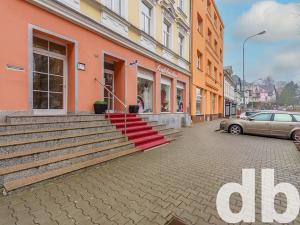 Pronájem bytu 1+kk, Karlovy Vary, Vítězná, 32 m2