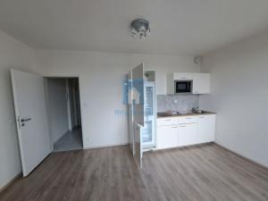 Pronájem bytu 1+kk, Plzeň, Technická, 29 m2