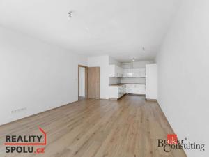 Pronájem bytu 2+kk, Plzeň - Jižní Předměstí, Železná, 75 m2