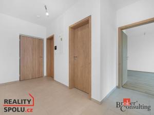 Pronájem bytu 2+kk, Plzeň - Jižní Předměstí, Železná, 75 m2