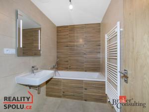 Pronájem bytu 2+kk, Plzeň - Jižní Předměstí, Železná, 75 m2