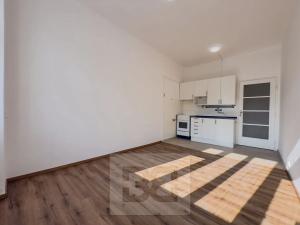 Pronájem bytu 1+1, Praha - Nové Město, Na slupi, 47 m2