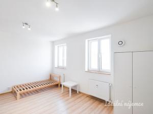 Pronájem bytu 1+kk, Brno - Zábrdovice, Vlhká, 29 m2