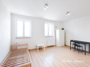 Pronájem bytu 1+kk, Brno - Zábrdovice, Vlhká, 29 m2