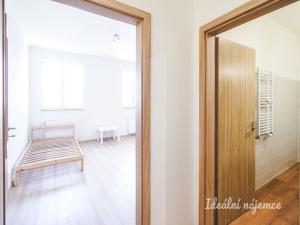 Pronájem bytu 1+kk, Brno - Zábrdovice, Vlhká, 29 m2