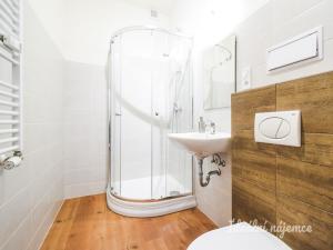 Pronájem bytu 1+kk, Brno - Zábrdovice, Vlhká, 29 m2