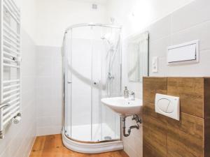 Pronájem bytu 1+kk, Brno - Zábrdovice, Vlhká, 29 m2