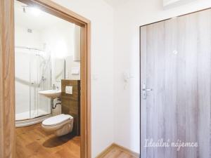 Pronájem bytu 1+kk, Brno - Zábrdovice, Vlhká, 29 m2