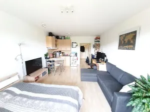 Prodej bytu 1+kk, Praha - Hostivař, Athénská, 38 m2