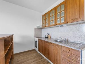 Pronájem bytu 1+kk, Brno, třída Generála Píky, 35 m2