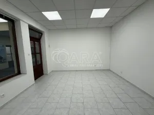 Pronájem obchodního prostoru, Benešov, Tyršova, 23 m2