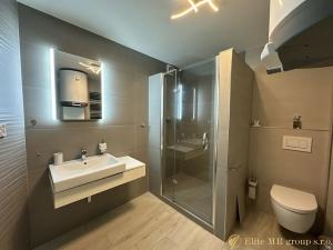 Pronájem bytu 3+kk, Liberec, Sokolská, 71 m2