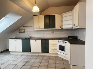 Pronájem bytu 4+kk, Praha - Žižkov, Vlkova, 140 m2