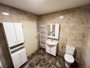 Pronájem bytu 4+kk, Praha - Žižkov, Vlkova, 140 m2