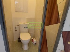 Pronájem bytu 2+kk, České Budějovice, Papírenská, 41 m2