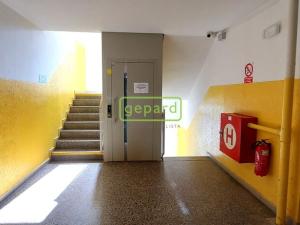 Pronájem bytu 2+kk, České Budějovice, Papírenská, 41 m2